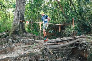 BIB: 
                            <button type="button" onclick="openModal(27807169)" class="btn btn-primary btn-sm float-right btn-popup" data-toggle="modal" data-target=".modal-high-quality">
                        <i class="fas fa-shopping-cart"></i> Add to Cart
                    </button>
                                            <button type="button" onclick="isThisMe(27807169, true)" class="btn btn-success btn-sm float-right btn-popup btn-isme hidden" data-toggle="tooltip" data-placement="bottom" title="นี่คือรูปของคุณใช่ไหม คลิกที่นี่เพื่อเอาเข้าอัลบั้ม">
                        <i class="fas fa-plus"></i> Add to album
                    </button>
                    <button type="button" onclick="isThisMe(27807169, false)" class="btn btn-warning btn-sm float-right btn-popup btn-isnotme hidden">
                        <i class="fas fa-ban"></i> Remove from album
                    </button>